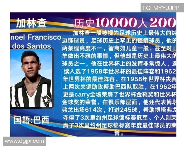 全球足球历史上对足球贡献最大球员排行榜及其影响力分析